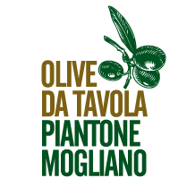 Antica gastronomia - Olive da tavola Piantone Mogliano
